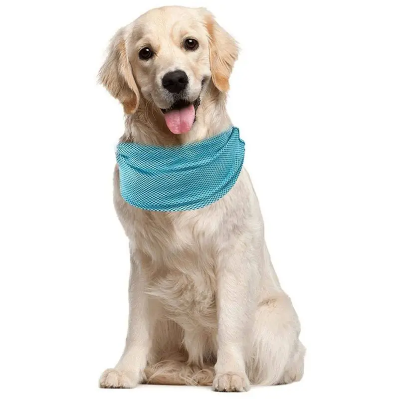dog cooling scarf