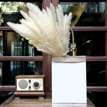 

15pcs Natural Dried Pampas Grass Reed Dried Flowers Natural Phragmites Communis Wedding Flower Bunch Home Decor