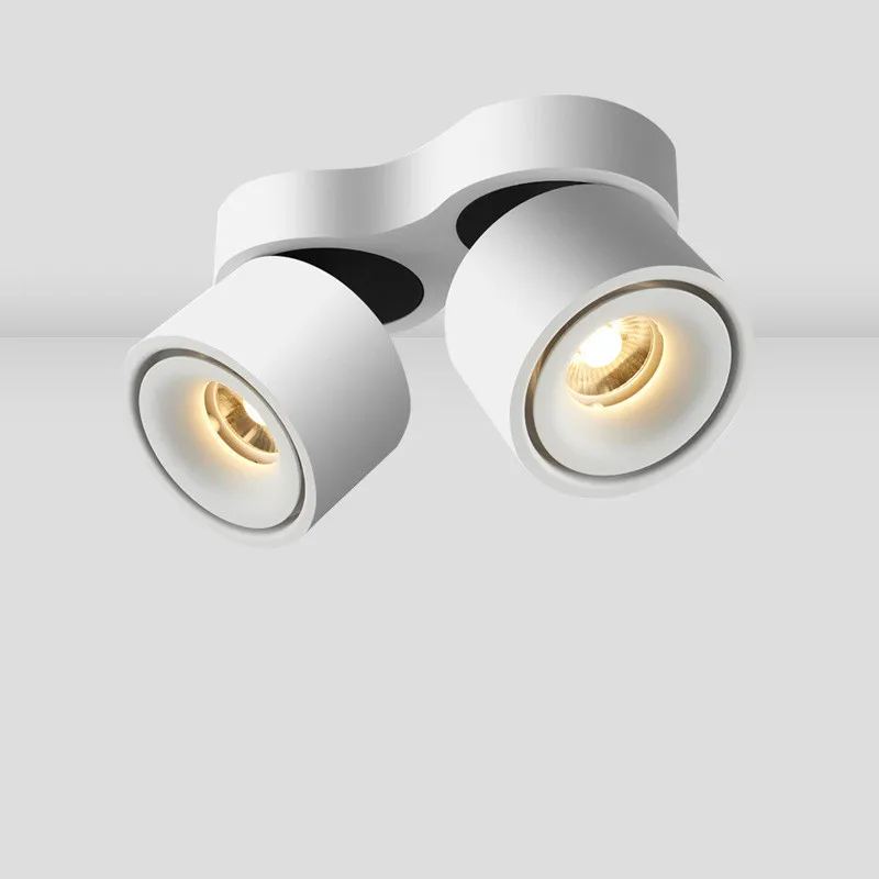 Surface Mounted Dimmable Rotating LED Ceiling Light, COB LED Spotlight, 20W / 24W, with AC110V / 220V LED Driver
