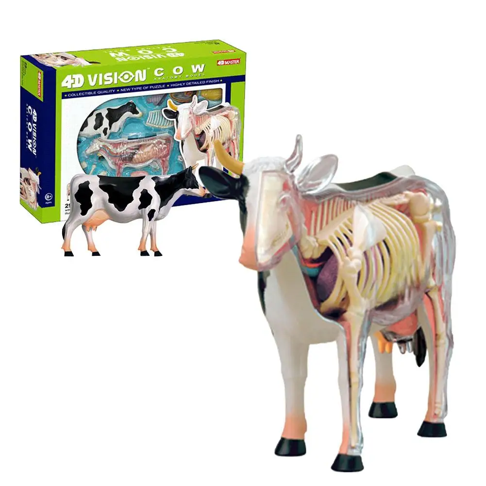 

Cow Anatomy Model 4D Educational Assembled Toy Set Biological Educational Toys Veterinarian Kit Puzzle Assembly Toy For Children
