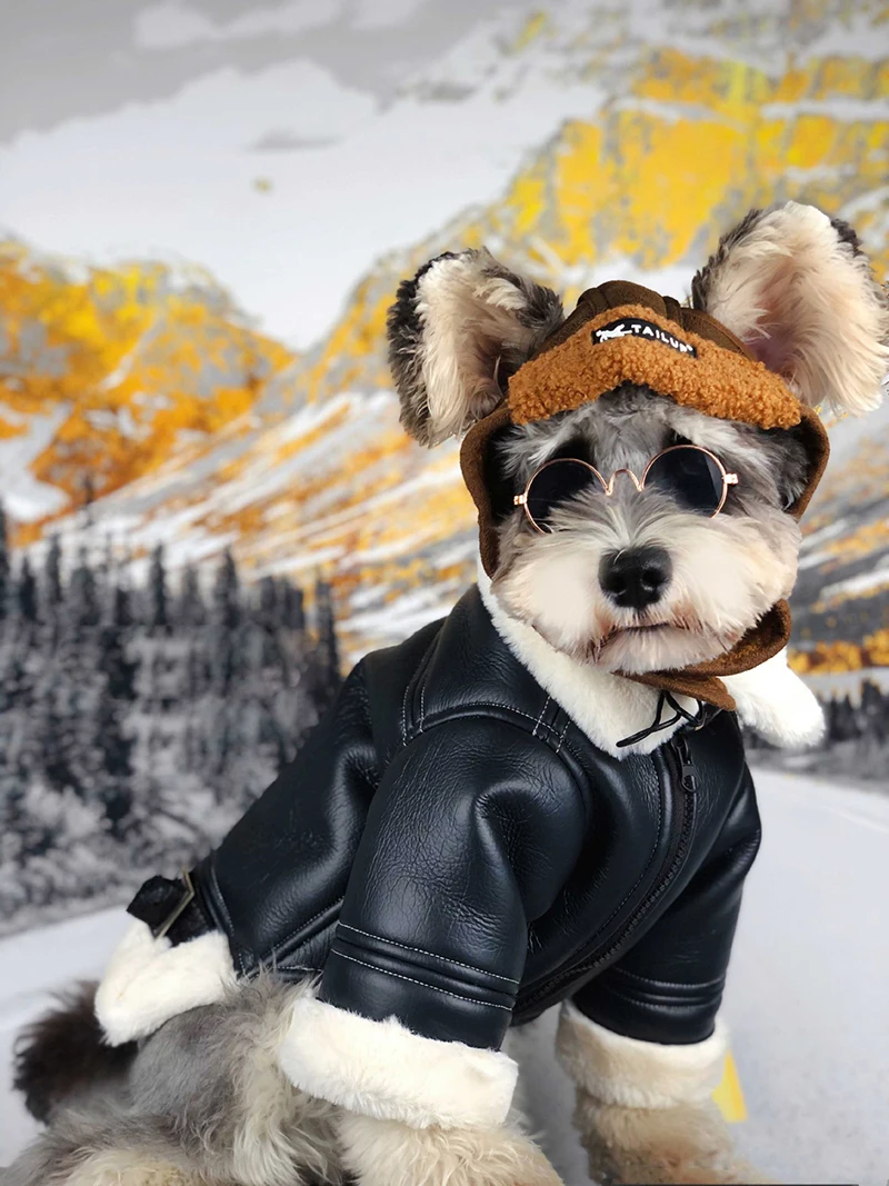Warm-Winter-Dog-Jacket-for-Small-Dog-Down-Jackets-Leather-Jacket-Coat-Fur-Collar-Puppy-Fleece (4)