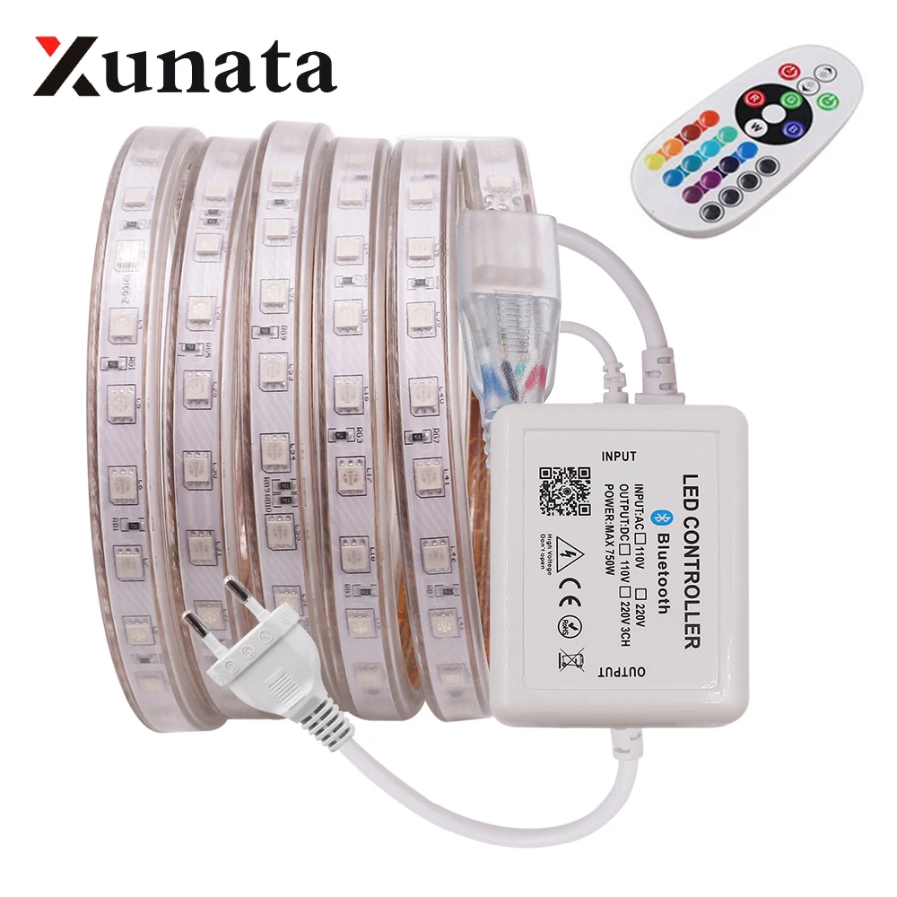 5050 RGB светодиодный светильник полосы 220V затемнения Водонепроницаемый 60 Светодиодный s/М гибкие светодиодные ленты Светодиодные ленты лампы с 24-мя клавишами пульт дистанционного управления для домашнего украшения