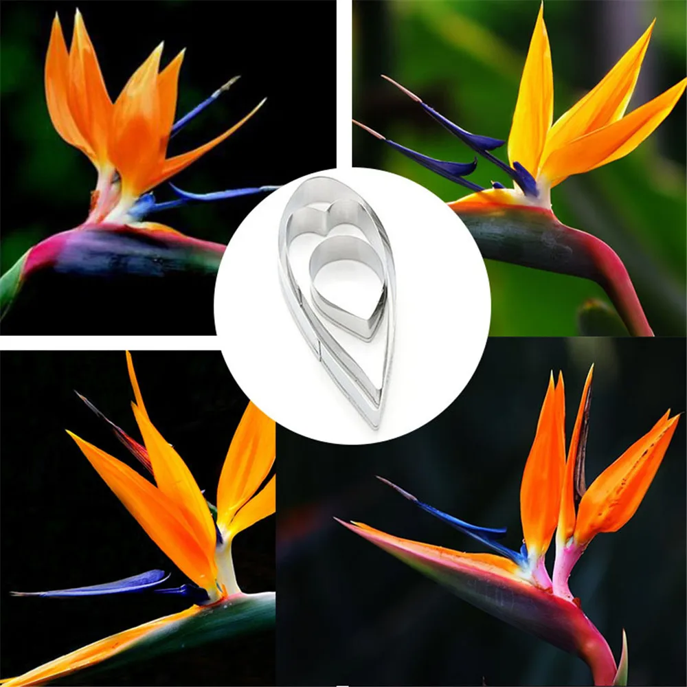 

Baking Cutter Mold 3pcs Stainless Steel Hewanglan Cutting Die Clay Designer DIY Soft Flower Blossom Petal Cutters Mould Tools