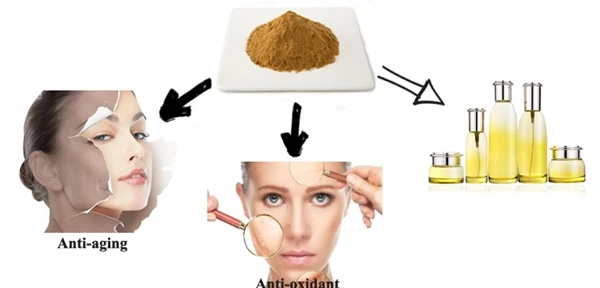 1587281614(1)_副本