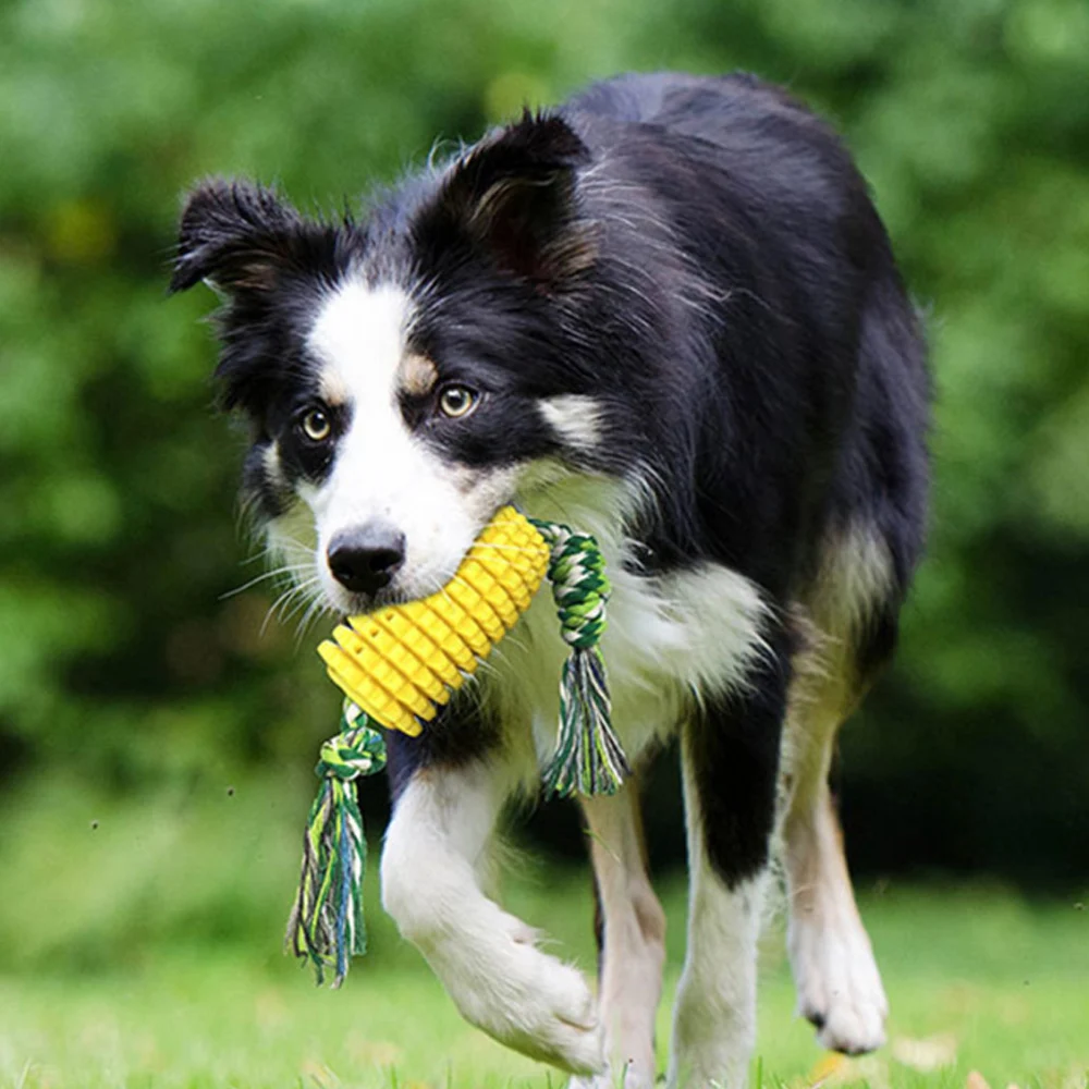 

Rubber Dog Chew Toys Dog Toothbrush Teeth Cleaning Toy Dogs Pet Toothbrushes Brushing Stick Pet Dog Toy Supplies Goods for pets