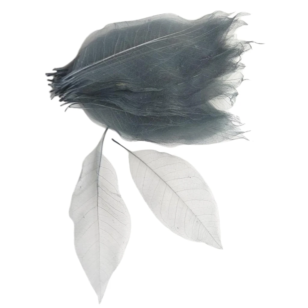 100 Pieces Colorful Magnolia Dried Skeleton Leaf Leaves Scrapbooking Embellishment for Jewelry Making DIY Necklace Earrings