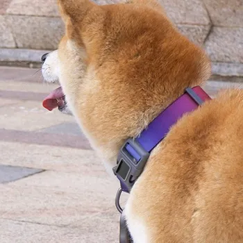 

Pet Dog Collars Dog Walking Collar With Control Handle Pet Adjustable Training Walking Collar Pet Neck Strap For Large Dog