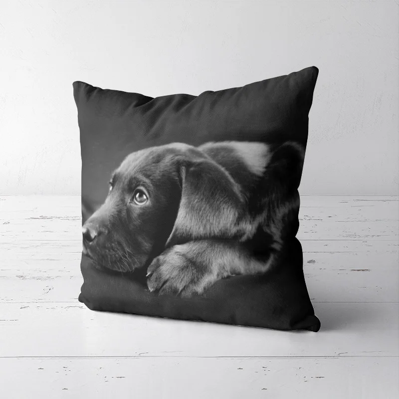 

Labrador retriever Design Pattern Casual Home Decoration Sofa Fashion Hug Pillowcase Craft Set Pillowcase Multiple sizes
