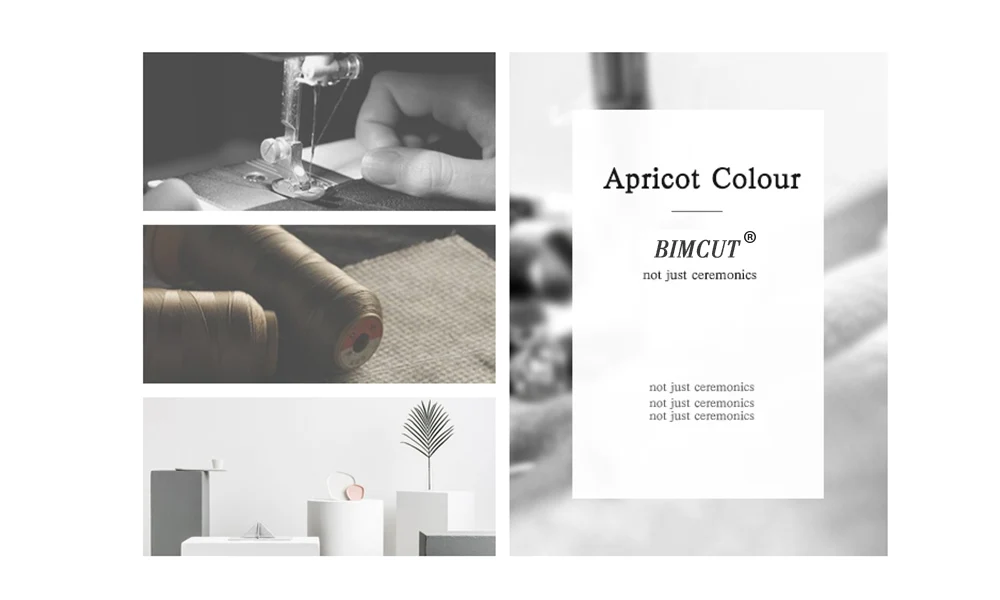 COLOR DISPLAY