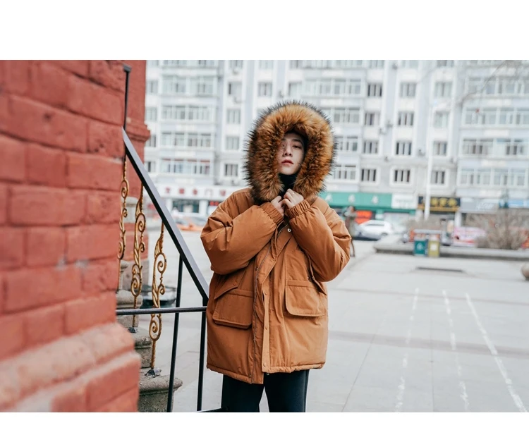 LAPPSTER Men Fur Warm Winter Jacket Mens Korean Hooded Puffer Jackets Coats Parka For Men Korean Fashions Thick Windbreaker
