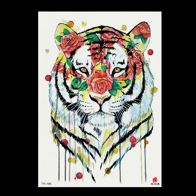 8529777316_1270164057