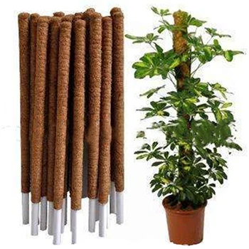

Kokos Pole Extension Kokosnoot Klimmen Plantenstok Behouden Vocht Tuin Frame High Quality Plant Climbing Frames
