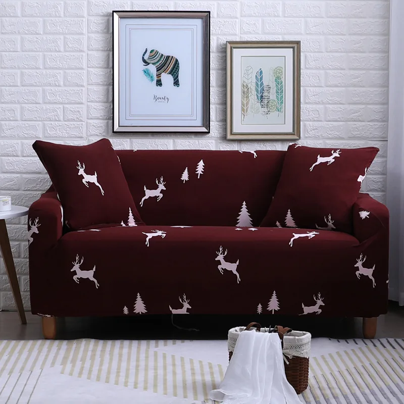 9906866404_1307319529