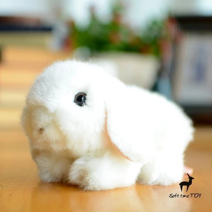 Kawaii маленький белый кролик плюшевые куклы игрушки для подарки на день рождения для девочек мягкие настоящие игрушки магазины