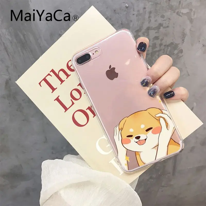 Shiba Inu Dog