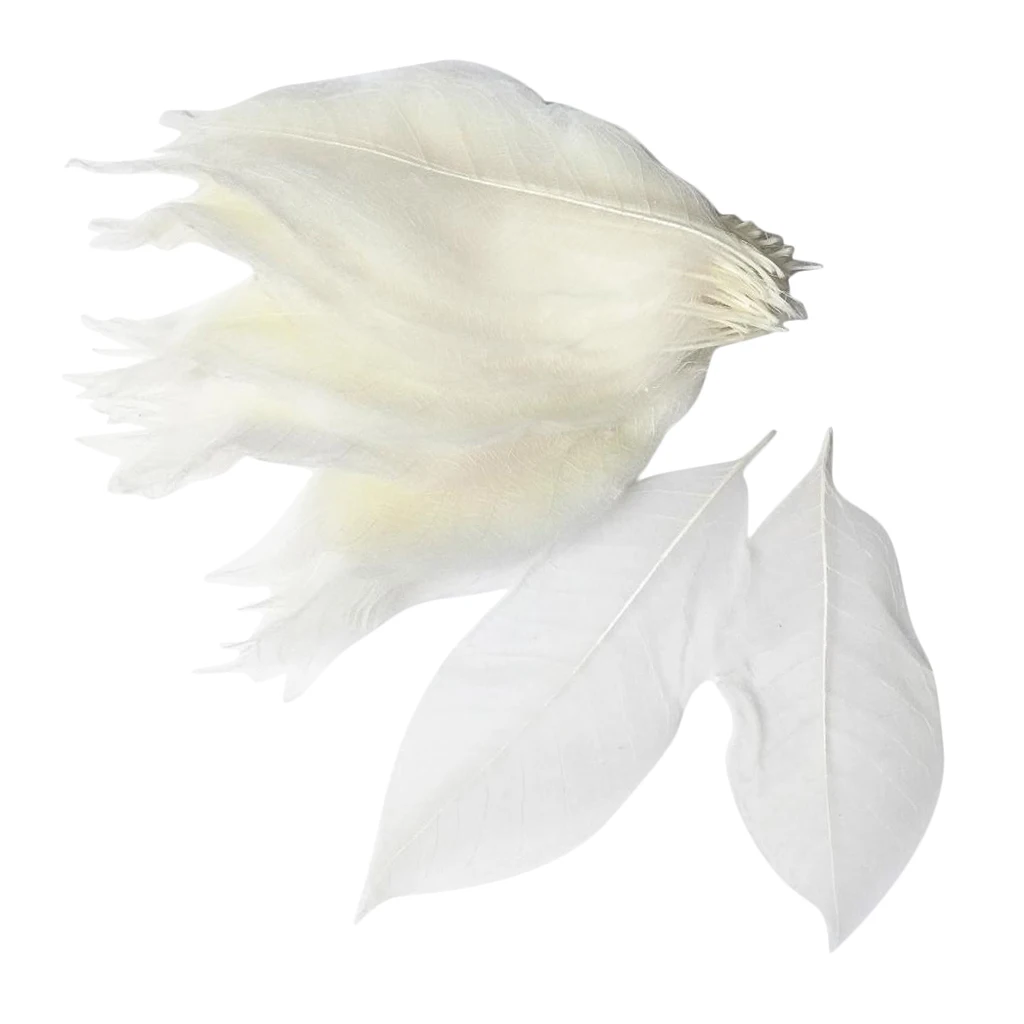 100 Pieces Colorful Magnolia Dried Skeleton Leaf Leaves Scrapbooking Embellishment for Jewelry Making DIY Necklace Earrings