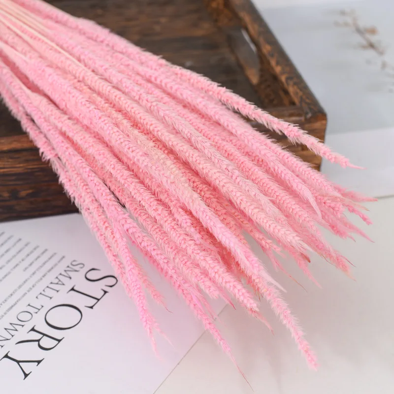 17564810684_2128378955