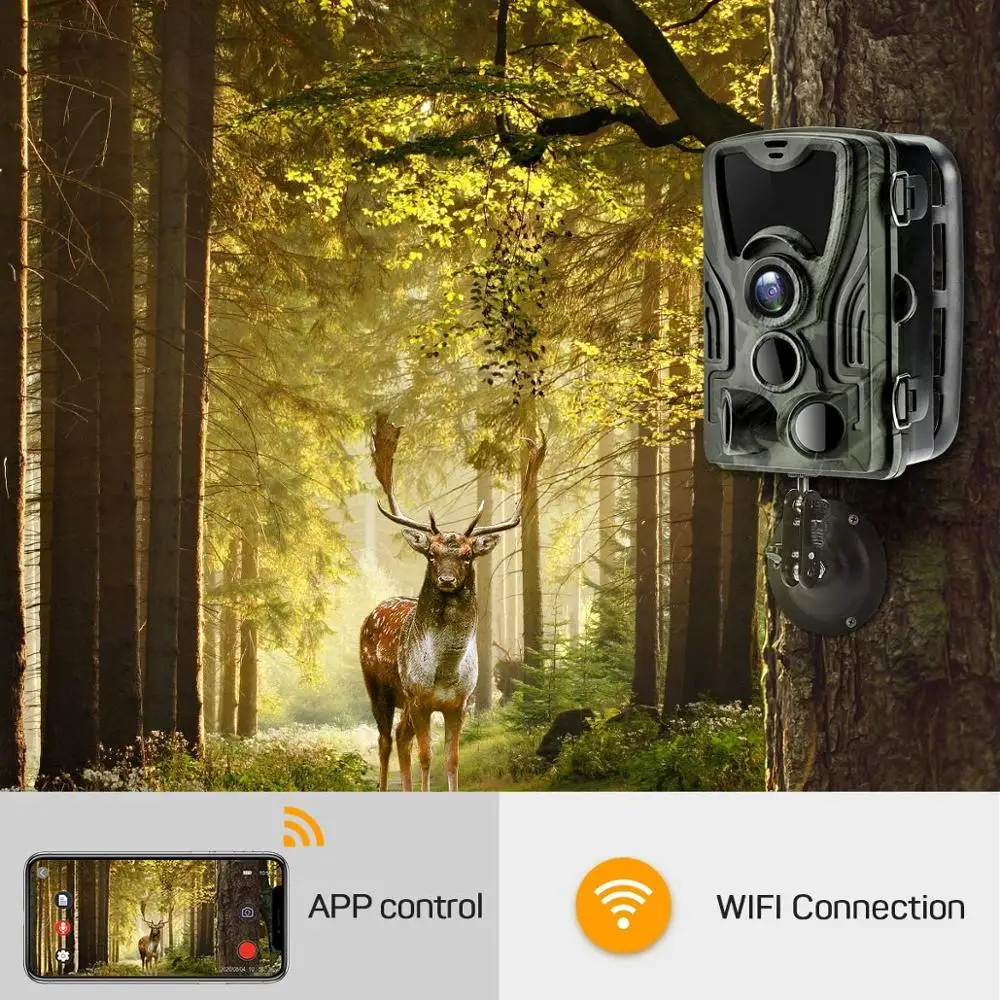 WIFI Trail Camera APP Live Show Hunting Cameras 24MP 1296P Wildlife WIFI801B Night Vision Outdoor Surveillance