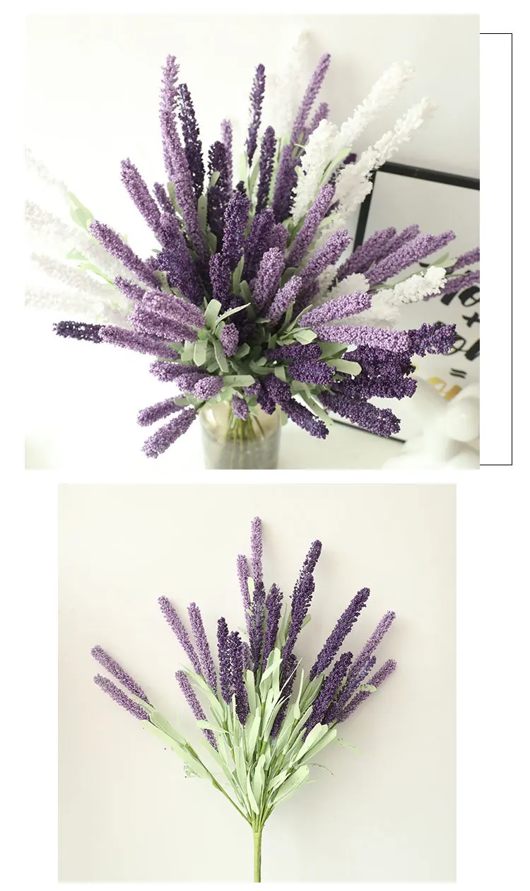 15075022471_1245478559