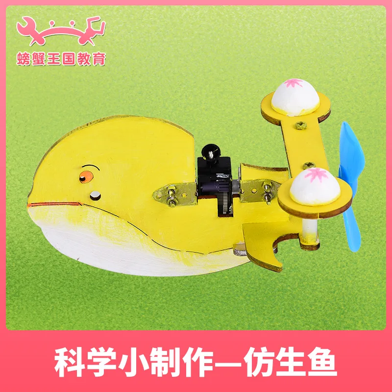 

Young STUDENT'S Physics Gizmos Fun Science Experiment New Products Bionic Fish Model Science And Technology Small Production Han