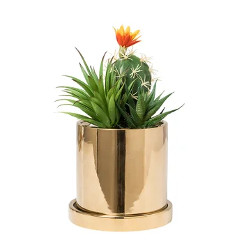 

High temperature fired personalized ceramic pot edge polished mellow and delicate, gold simulation plant potted plant li