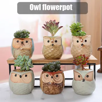

'The Best' 6pcs/set Mini Ceramic Owl Succulent Plants Bonsai Pots Flower Home Office Desk Decor 889