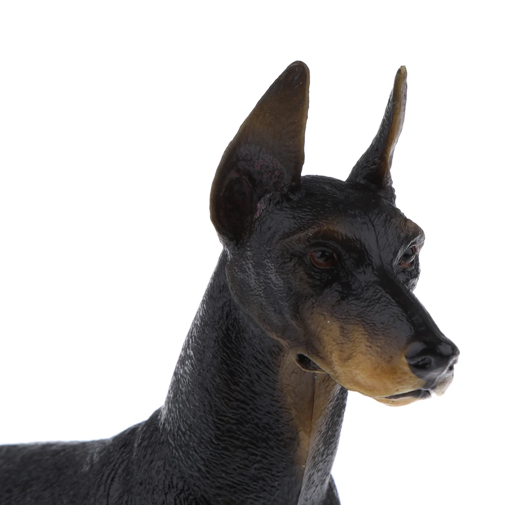 Realistic Doberman Model PVC Farm Animal Model Figurine Action Figures Playset Kids Educational Toy Collectibles