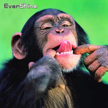 

Evershine Diamond Embroidery Animals Cross Stitch Kit Diamond Painting Monkey Rhinestone Pictures DIY Diamond Mosaic Full Layout