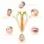 Energy Beauty Bar 24k Golden Vibrating Facial Roller Massager Face Lifting Anti-wrinkle Skin Care Gemstone Roller Ball Set Box