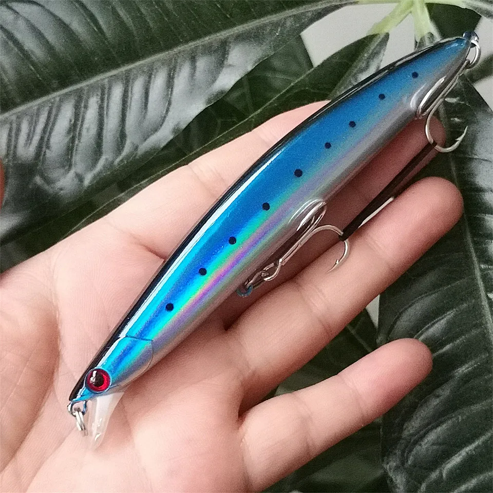 Leurre De Pêche TAKE Wobbler Jerkbait – 6,5 Cm – 11 Gr, Vibration, Pour Brochet Perche Truite