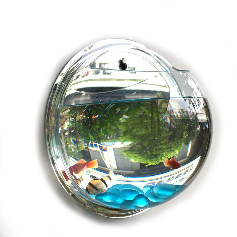 aqua pet shop near me