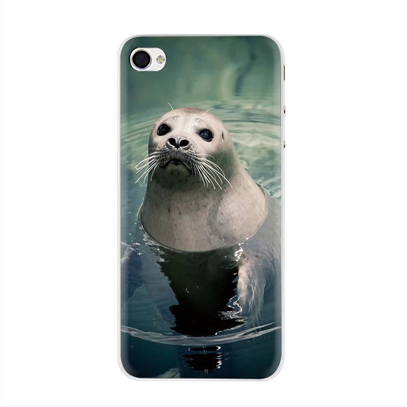 Жесткий чехол для телефона EWAU Baby harp Seal Sea Lion чехол для iPhone 5 5S SE 5C 6 6s Plus 7 8 Plus X XR XS 11 Pro MAX