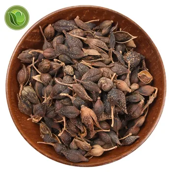 

Natural Dry Herbs Lian Qiao (Fructus Forsythiae) Chinese Herb