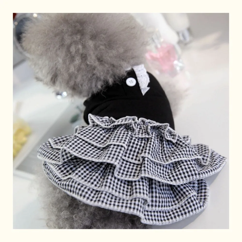 O1CN01z8j5DJ219U5ayFU4N_!!323036942