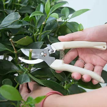

Pruning Shears Stainless Steel Sharp Sturdy Gardening Scissors Handmade Garden Scissors Beige Yardman Coarse Branch Shear Tree