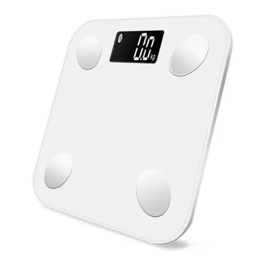 Body fat scale