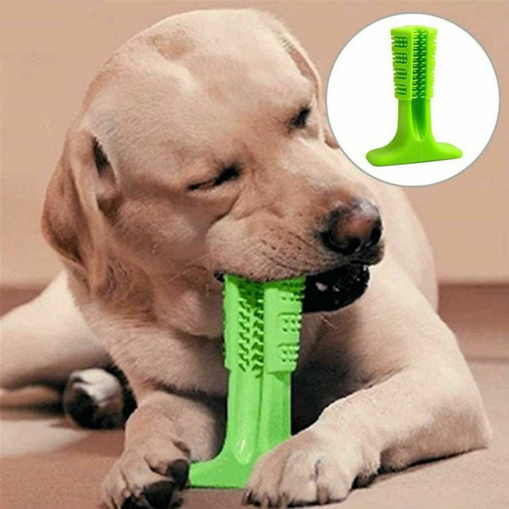 toothbrush stick for dogs