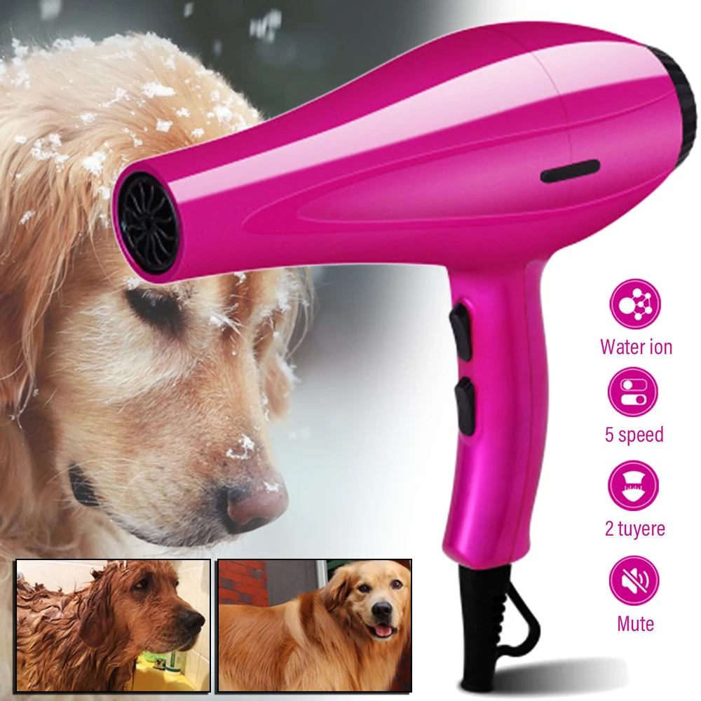 2000W Pet Hair Dryer 1