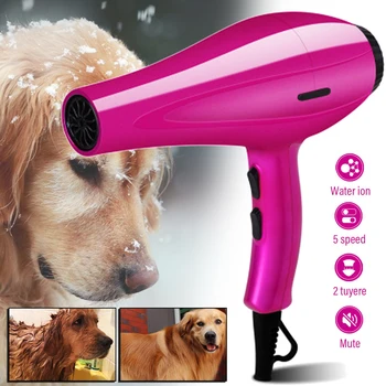2000W Pet Hair Dryer 1