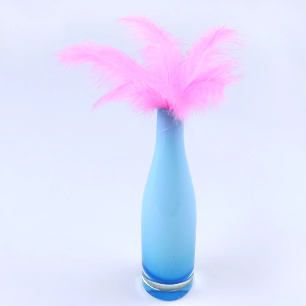 HS0201005 6
