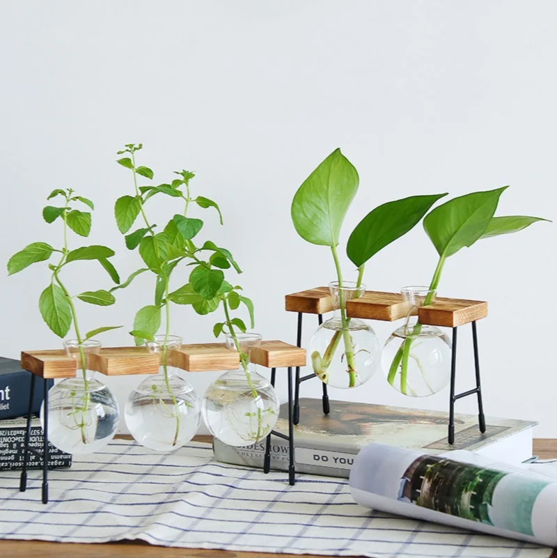 

Home Plant Glass Vase Hotel Coffee Shop Decoration Vase Plant Container Potted Plant Decoration Growth Bottle Breeding Tool