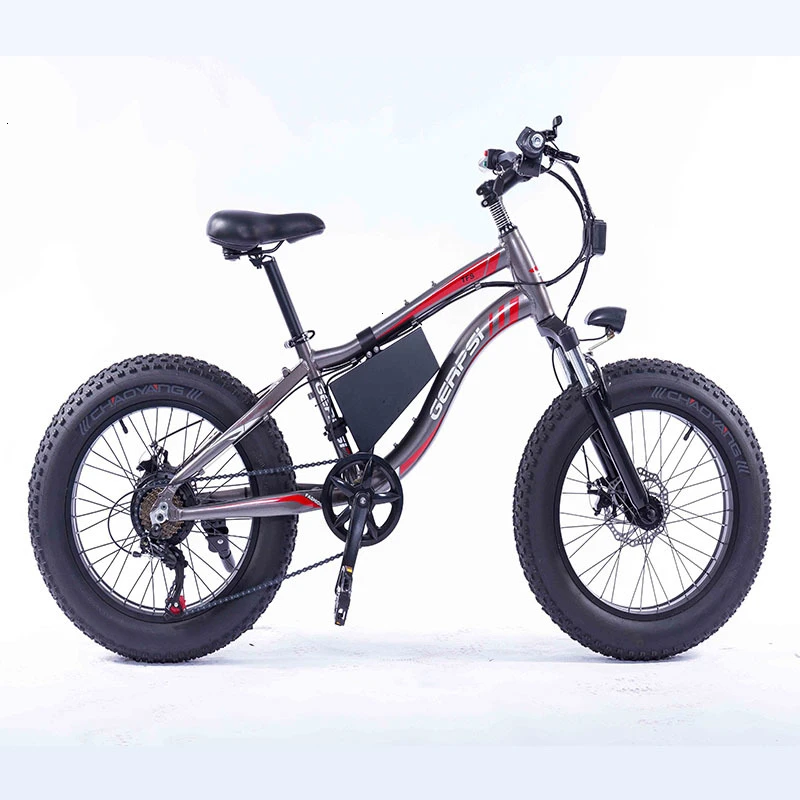

Electric Bicycle Mountain Bike for Adult with 36V Lithium-Ion Battery Ebike 250W Powerful Motor 21 Speed