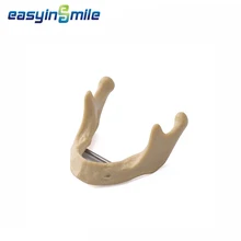 

Easyinsmile Dental Implant Model Lower Jaw Bone Simulation Model Studing Model