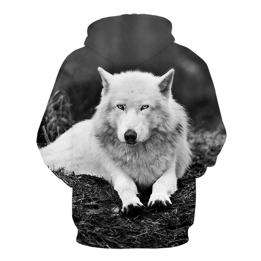 11864907654_795023104