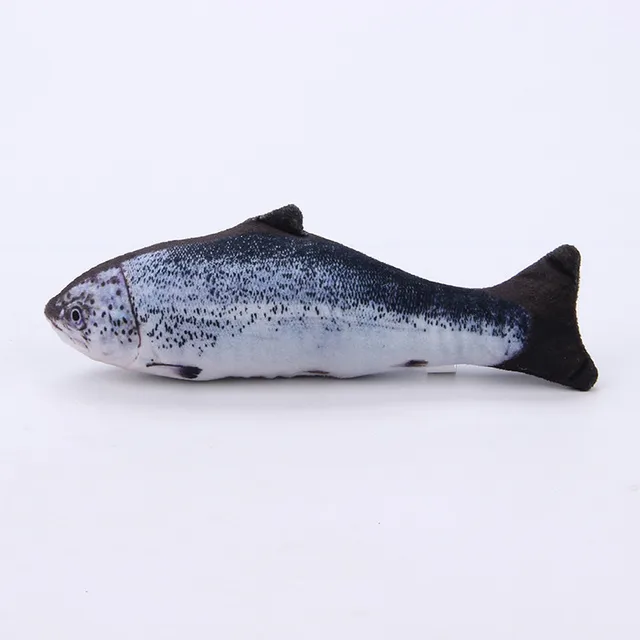 Image 11