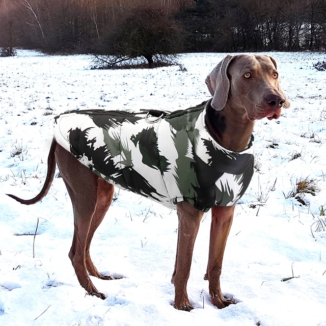 Dog Warm Waterproof Vest 4
