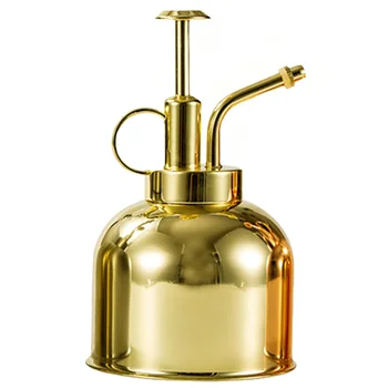 

1pc Vintage Plant Spritzer Watering Can Succulent Watering Bottle with Pump