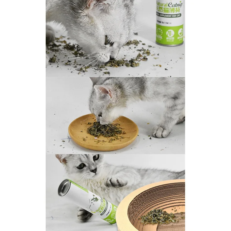 Кошка натуральная кошачья мята кошка лечение интерактивная игрушка кошка мята закуски котенок ментоловый аромат обучение кошка игрушка для кошек