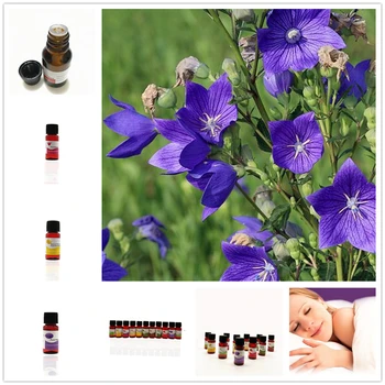 

Pure Plum Blossom Essential Oils for Humidifier Fragrance Lamp Air Purifier Aromatherapy Essential Oil Relieve Stress Body Relax