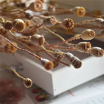 

Imported Yumeiren Sydney Fruit Bulk/Whole Bunch Preserved Fresh Flower DIY Material Package Valentine's Day Gift Box